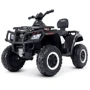 Детский электромобиль-квадроцикл Bambi Racer черно-белый (M 4868EL-1(24V))