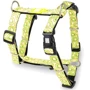 Шлейка для собак Max & Molly H-Harness - Kiwi S (4894512023536)