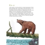 Юхим Шифрін: Я велика панда: ISBN 978-5-9614-6490-0