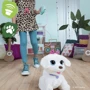 Інтерактивна іграшка Hasbro FurReal Friends Танцююче Цуценя ГоГо (F1971): Рекомендований вік від 4 років