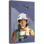 Внешний жесткий диск Seagate Luke Skywalker Special Edition FireCuda 2 TB (STKL2000412)
