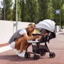 Прогулочная коляска Chicco Ohlala 2 Pink Swan (79472.66): Тип коляски прогулочная