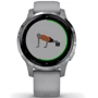 Смарт-часы Garmin vivoactive 4S Powder Gray/Silver (010-02172-03/010-02172-01): Тип гаджета Взрослые смарт часы