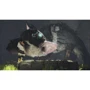 The Last Guardian (PS4)