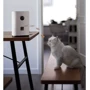 Кормушка для домашних животных Xiaomi Pawbby (White): Особенности Автоподача корма