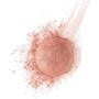 Bourjois Pastel Joues Рум'яна для обличчя №32 Ambre D'or 2.5g: Стать Для женщин