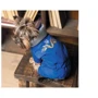 Костюм для собак Pet Fashion ZHAN XS2 (PR243238): Размер XS2