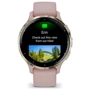 Смарт-часы Garmin Venu 3S Soft Gold Stainless Steel Bezel with Dust Rose Case and Silicone Band (010-02785-03): Материал корпуса Армированный волокном полимер / Нержавеющая сталь (Безель)