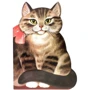 Котик-коток