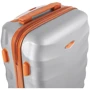 Чемодан Rogal XS серебристый (RGL6881XS-silver): Тип Чемоданы