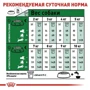 Сухой корм для собак Royal Canin Mini Adult 8+ малых пород старше 8 лет 800 г (30020089): Класс Супер премиум