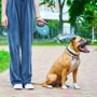 Повідець-рулетка для собак WAUDOG R-leash з контейнером для пакетів M блакитний до 20 кг 5 м (26282) фото 8