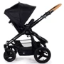 Прогулочная коляска Bumbleride Era / Matte Black (чёрное шасси): Количество блоков 1