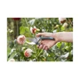 Секатор Gardena Comfort B/M (08904-20): Тип секаторы