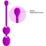 Вагинальные шарики с вибрацией Pretty Love Werner Kegel Ball