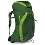 Рюкзак Osprey Exos 58 Tunnel Green - LG (009.1739)