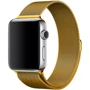 Аксессуар для Watch COTEetCI W6 Magnet Band Gold (WH5202-GD) for Apple Watch 38/40/41mm