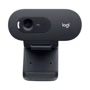 Logitech HD Webcam C505 (960-001364): Крепление/установка Прищепка
