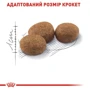 Сухой корм Royal Canin Sterilised для стерилизованных кошек и кастрированных котов 10 кг (2537100): Тип Сухой корм