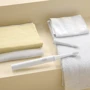 Зубна щітка Xiaomi Mijia Sonic Electric Toothbrush T100 Light Grey: Технологія чищення звуковая