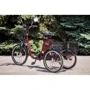 Електровелосипед VEGA HAPPY (Red): Вага пристрою, кг 50