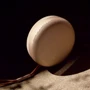 Акустика Bang & Olufsen Beosound A1 2nd Gen Gold Tone (1734008) фото 9