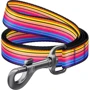 Поводок WAUDOG Nylon, рисунок "Линия 1" 15 мм 122 см разноцветный (4930)