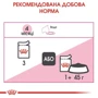 Влажный корм Royal Canin Kitten Instinctive in Gravy для котят до 12 мес 85 г (9003579308943): Порода Все породы