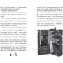 Уш Лун: Чарівне взуття від Ліллі. Книга 3. На крилах мрій: Автор Уш Лун