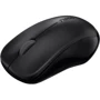 Мышь RAPOO 1620 Wireless Optical Mouse: Интерфейс подключения Wireless