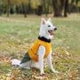 Попона Pet Fashion ROY хаки-горчица 6XL (4823082432806): Длина спины 61-63 см