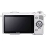 Sony NEX-5R Kit 18-55mm White (UA): Чувствительность ISO 100-25600 ISO, Auto ISO