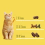 Сухой корм Friskies для взрослых котов с говядиной, курицей и овощами 10 кг (5997204569004) фото 7