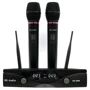 Радиосистема HL AUDIO DG-2000