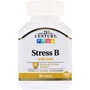 21st Century Stress B with Iron 66 Tablets