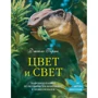 Колір і світло