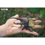 Сборная 3D модель Eugy Зоопарк: Жук-геркулес (XEG-112)
