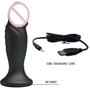 Анальный стимулятор с вибрацией и пультом ДУ - MR PLAY Super Power, BI-040085W-MR