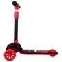 Самокат Daddychild HD-007-Red-Black (HD-007-Red-Black): Количество колес 3