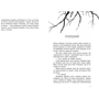 Клер Мак-Фолл: Провідник. Книга 2. Порушники: Кількість сторінок 352