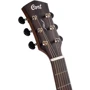 Гітара CORT Core-DC Mahogany (Open Pore Black Burst) w/case: Матеріал корпусу Красное дерево