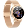 Смарт-часы Linwear LW10 Metal Gold: Емкость батареи, мАч 120
