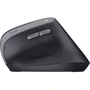 Мишка Trust Bayo 2 Ergonomic Black (25145): Максимальна роздільна здатність сенсора, dpi 2400