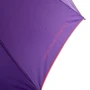 Парасолька-тростина жіночий напівавтомат UNITED COLORS OF BENETTON фіолетовий (U56018): Країна виробник Німеччина
