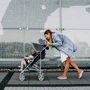 Прогулочная коляска Lionelo Elia Grey White: Количество блоков 1