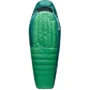 Спальный мешок Sea to Summit Ascent -9C/15F Regular Ra9in Forest Green (STS ASL041101-052003)