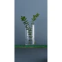 Ваза Trendglass Flora 29 см (35940): Материал стекло