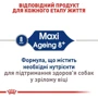 Сухой корм Royal Canin Maxi Ageing 8+ для собак крупных пород старше 8 лет 15 кг (2454150): Возраст Взрослые