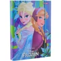 Папка для тетрадей картонная В5, 1 Вересня Frozen (491672)