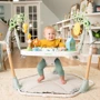 Центр ігровий розвиваючий Chicco 6в1 Tummy to Toes Ingenuity (16904): Особливості бортики, подушка, игровые дуги